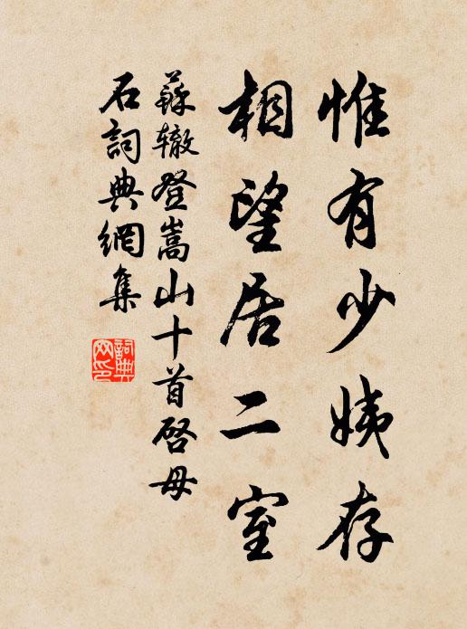 苏辙惟有少姨存，相望居二室书法作品欣赏