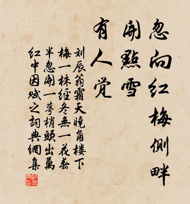 刘辰翁忽向红梅侧畔，开点雪、有人觉书法作品欣赏