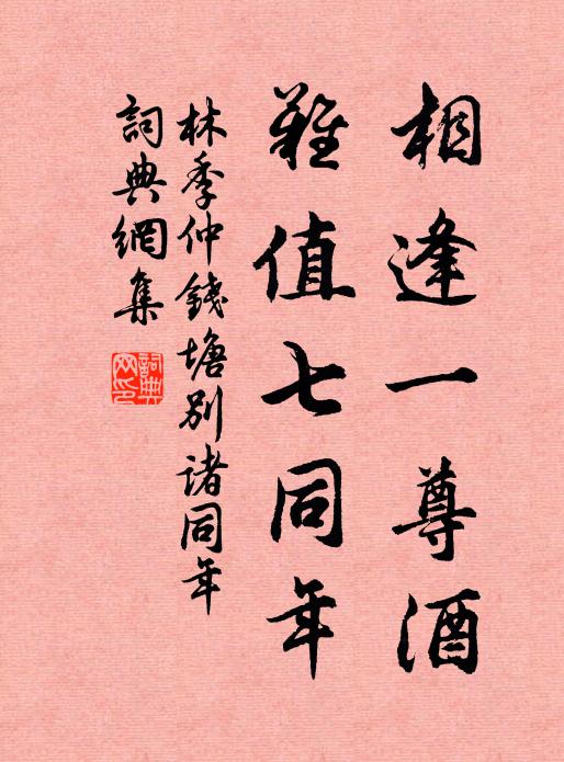 林季仲相逢一尊酒，难值七同年书法作品欣赏