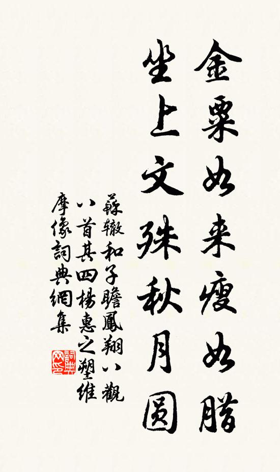 苏辙金粟如来瘦如腊，坐上文殊秋月圆书法作品欣赏
