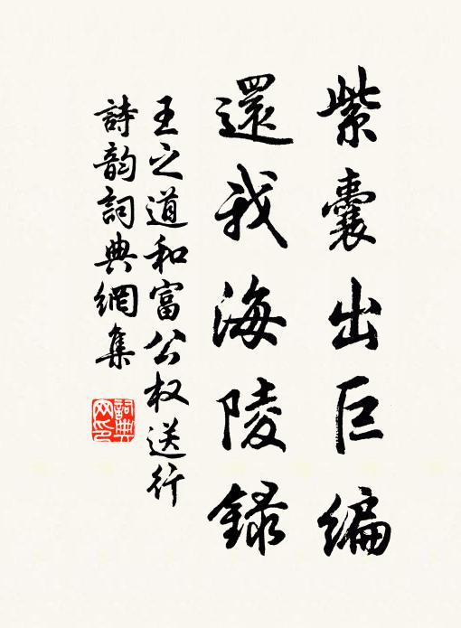 王之道紫囊出巨编,还我海陵录书法作品欣赏