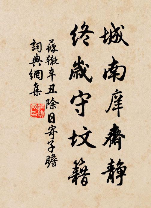 苏辙城南庠斋静，终岁守坟籍书法作品欣赏