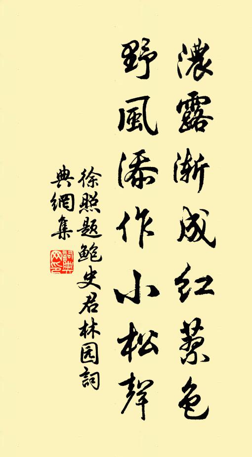 徐照浓露渐成红蓼色，野风添作小松声书法作品欣赏