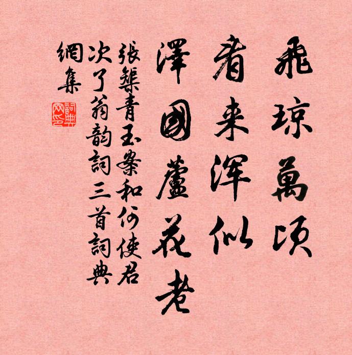张榘飞琼万顷，看来浑似，泽国芦花老书法作品欣赏