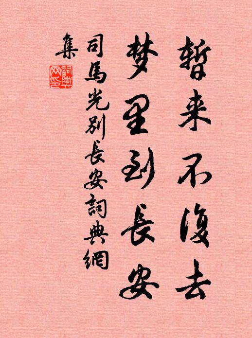 司马光暂来不复去，梦里到长安书法作品欣赏