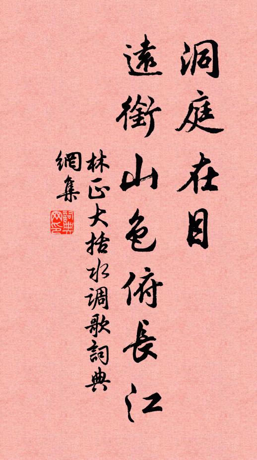 林正大洞庭在目，远衔山色俯长江书法作品欣赏