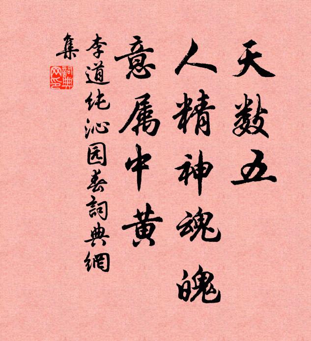 李道纯天数五，人精神魂魄，意属中黄书法作品欣赏
