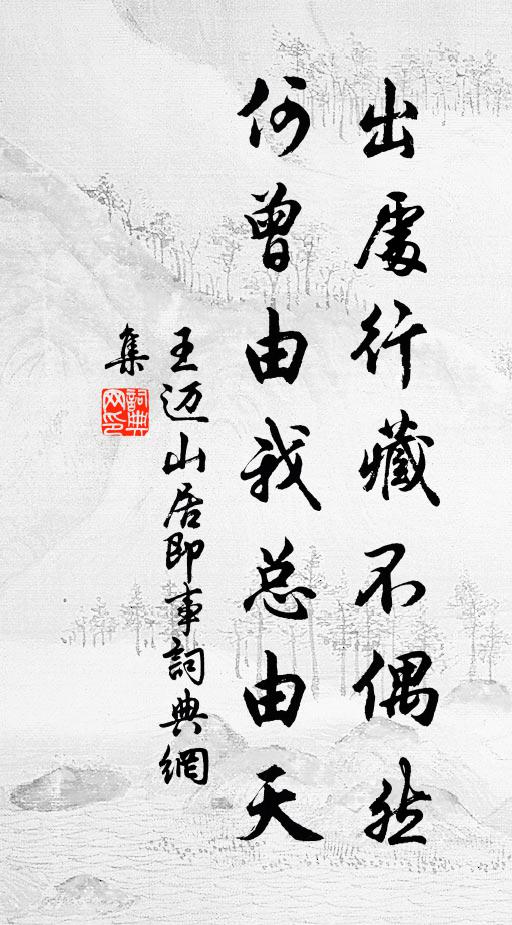 王迈出处行藏不偶然，何曾由我总由天书法作品欣赏