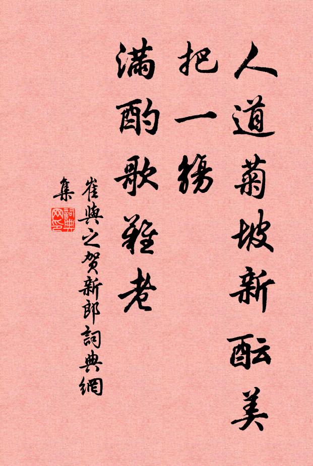 崔与之人道菊坡新酝美，把一觞、满酌歌难老书法作品欣赏