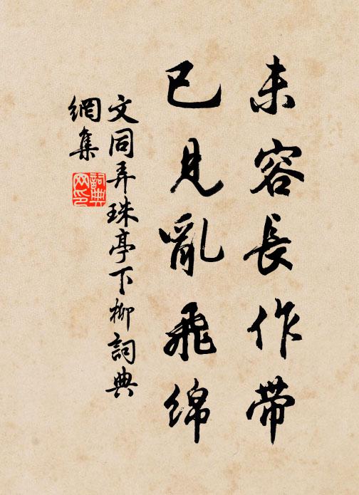 文同未容长作带，已见乱飞绵书法作品欣赏