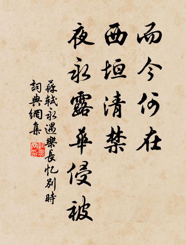 苏轼而今何在？西垣清禁，夜永露华侵被书法作品欣赏