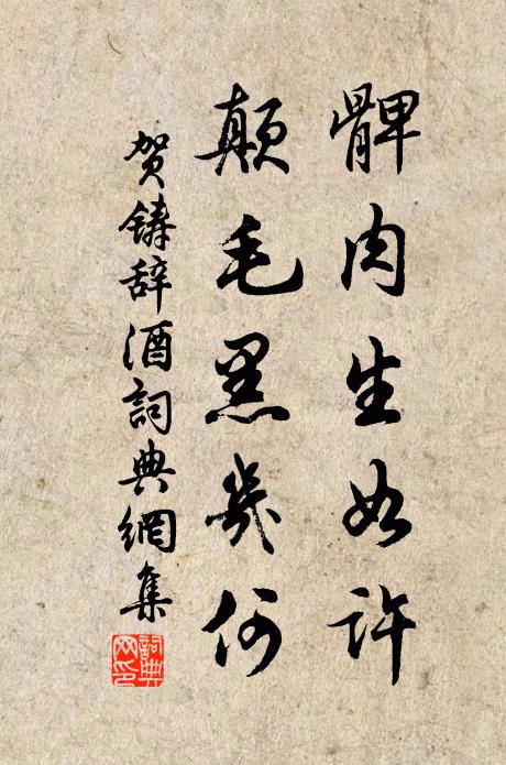 贺铸髀肉生如许，颠毛黑几何书法作品欣赏