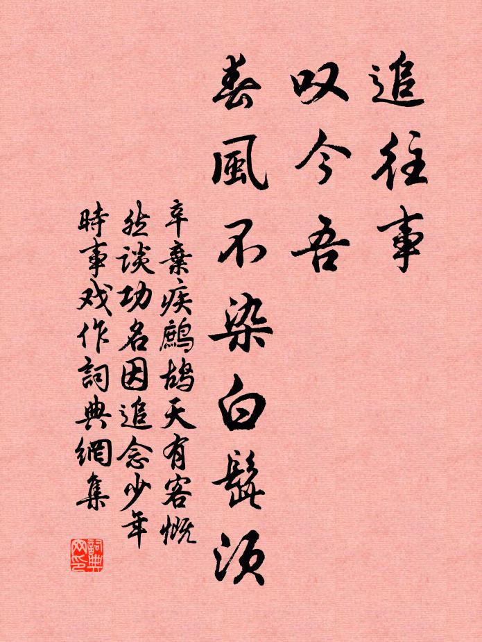辛弃疾追往事，叹今吾，春风不染白髭须书法作品欣赏