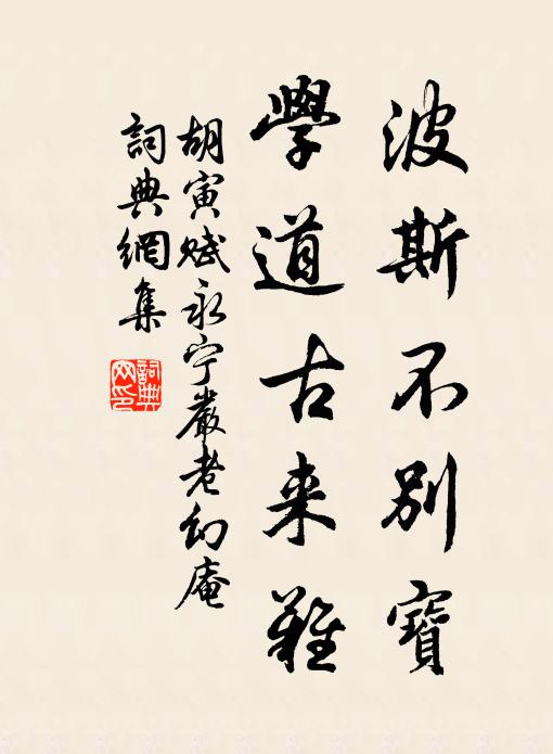 胡寅波斯不别宝，学道古来难书法作品欣赏