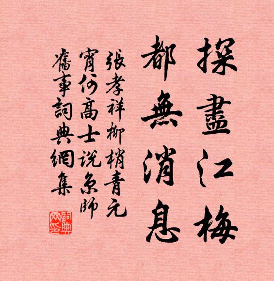 张孝祥探尽江梅，都无消息书法作品欣赏