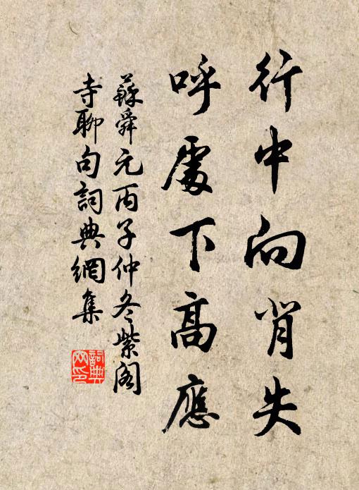 苏舜元行中向背失,呼处下高应书法作品欣赏