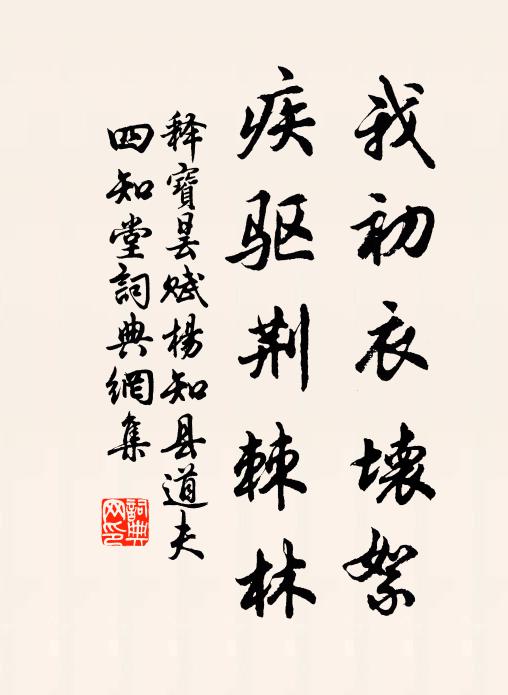 释宝昙我初衣坏絮，疾驱荆棘林书法作品欣赏