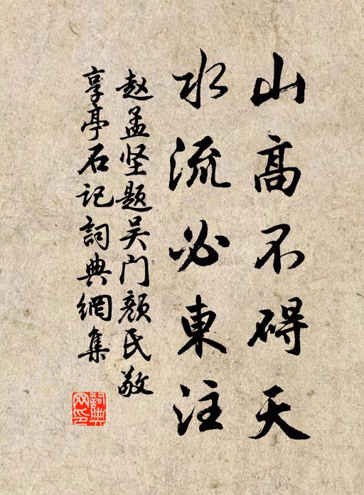 赵孟坚山高不碍天，水流必东注书法作品欣赏