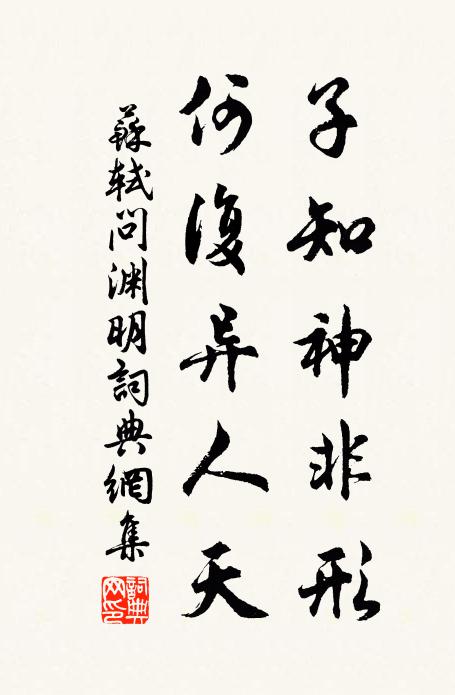 苏轼子知神非形，何复异人天书法作品欣赏