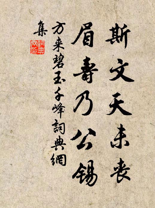 方来斯文天未丧，眉寿乃公锡书法作品欣赏