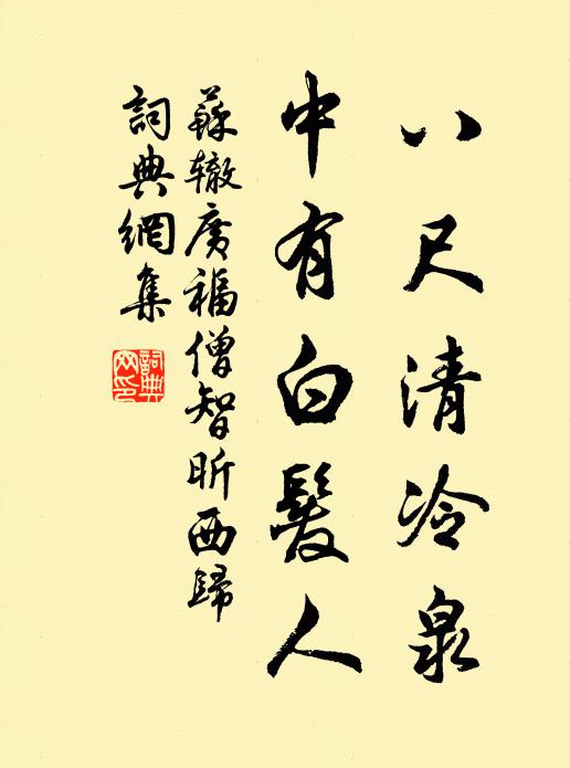 苏辙八尺清冷泉，中有白发人书法作品欣赏