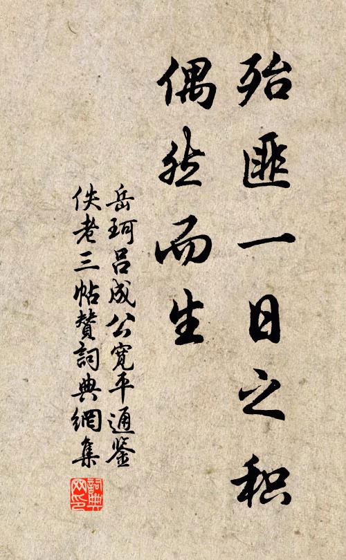 岳珂殆匪一日之积，偶然而生书法作品欣赏
