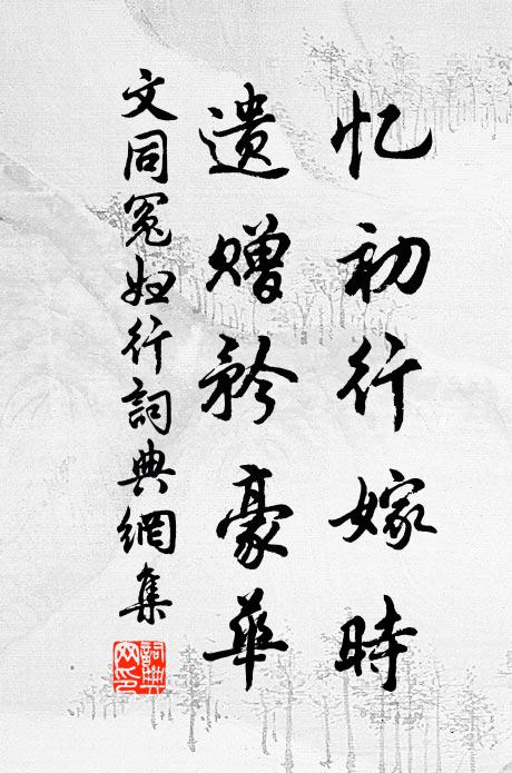 文同忆初行嫁时,遗赠矜豪华书法作品欣赏