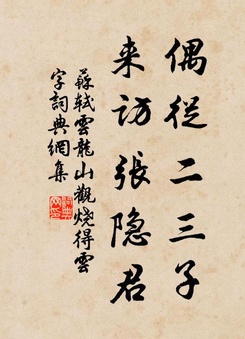 苏轼偶从二三子，来访张隐君书法作品欣赏