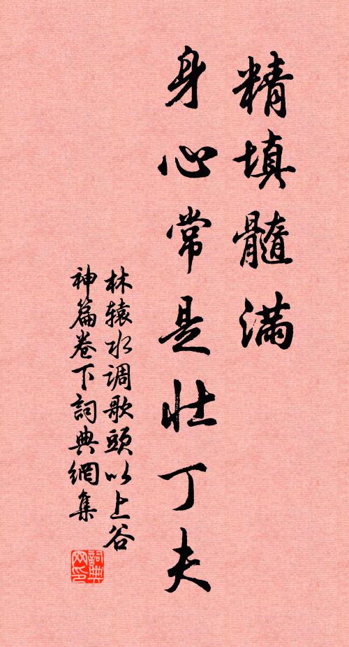 林辕精填髓满，身心常是壮丁夫书法作品欣赏