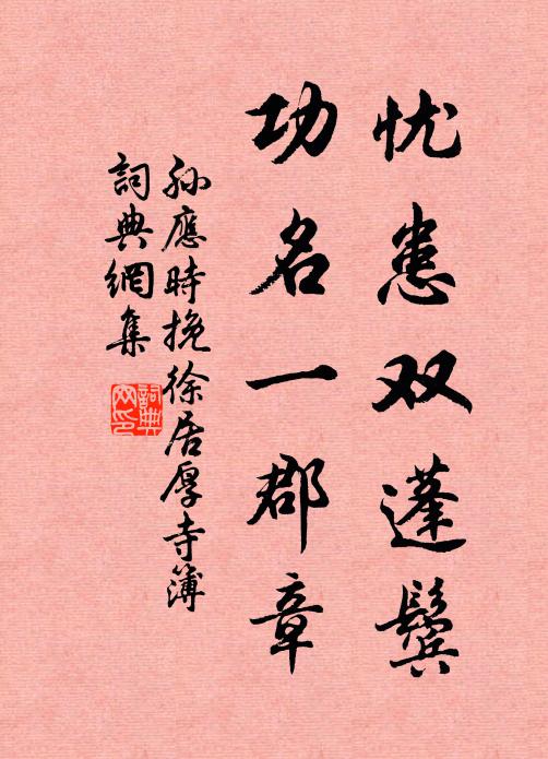 孙应时忧患双蓬鬓，功名一郡章书法作品欣赏