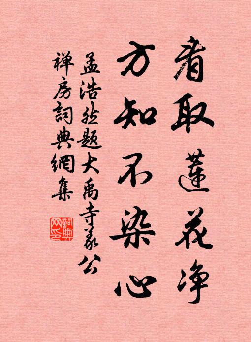 孟浩然看取莲花净，方知不染心书法作品欣赏