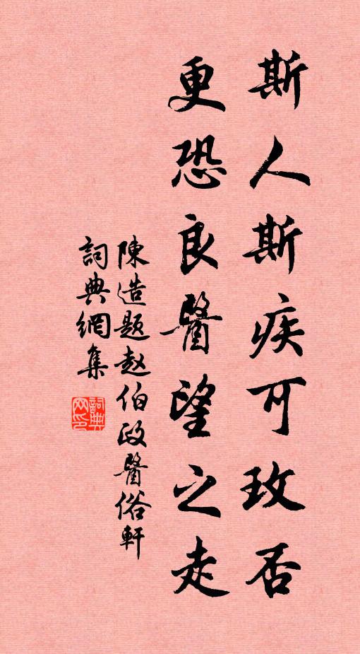 陈造斯人斯疾可玫否，更恐良医望之走书法作品欣赏
