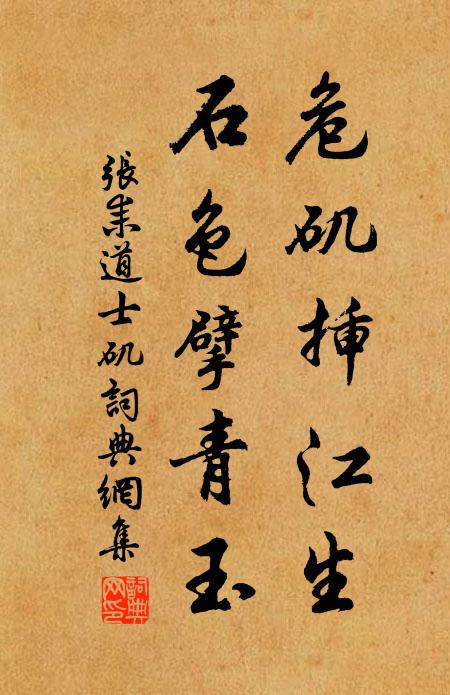 张耒危矶插江生，石色擘青玉书法作品欣赏