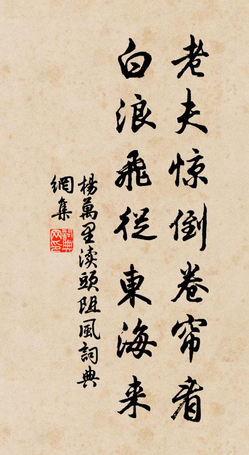 杨万里老夫惊倒卷帘看，白浪飞从东海来书法作品欣赏