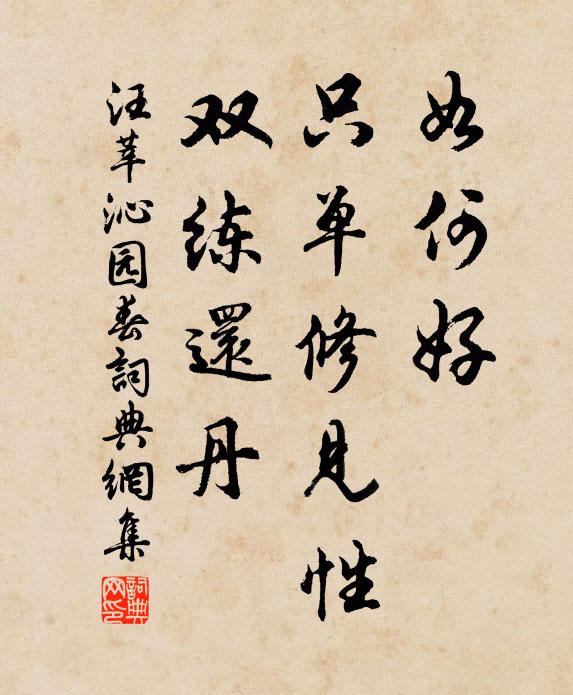 汪莘如何好，只单修见性，双练还丹书法作品欣赏