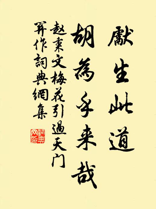 赵秉文先生此道，胡为乎来哉书法作品欣赏
