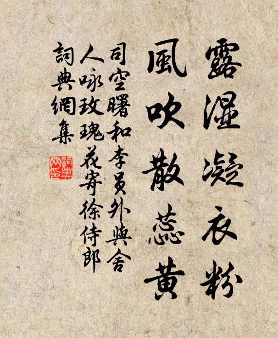 司空曙露湿凝衣粉，风吹散蕊黄书法作品欣赏