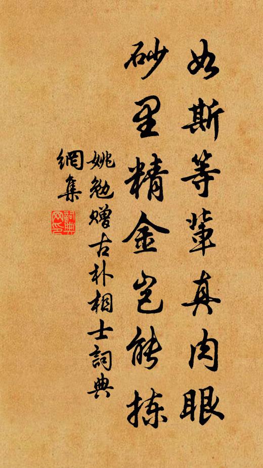 姚勉如斯等辈真肉眼，砂里精金岂能拣书法作品欣赏