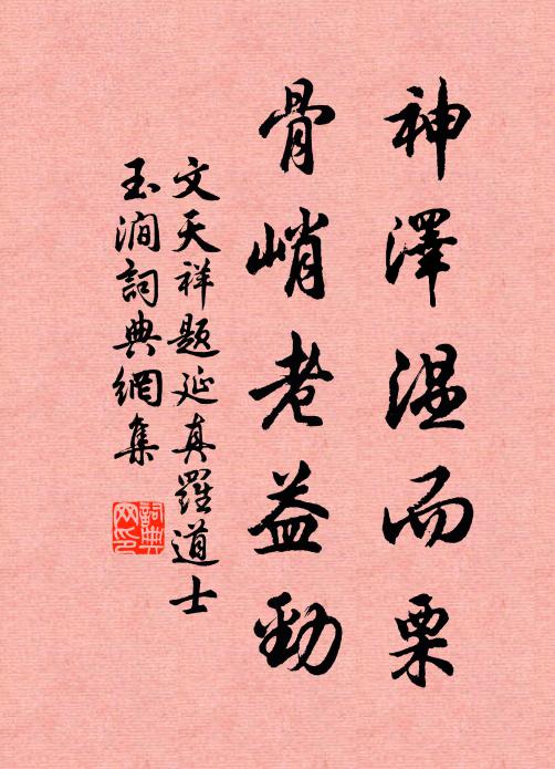 文天祥神泽温而栗，骨峭老益劲书法作品欣赏