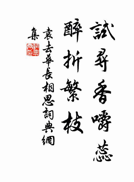 袁去华试寻香嚼蕊，醉折繁枝书法作品欣赏