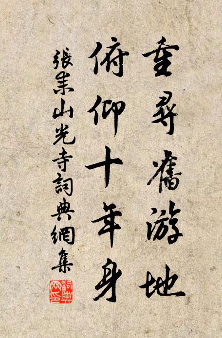 张耒重寻旧游地，俯仰十年身书法作品欣赏