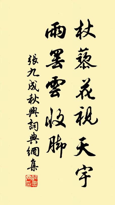 张九成杖藜花视天宇，雨罢云收脚书法作品欣赏