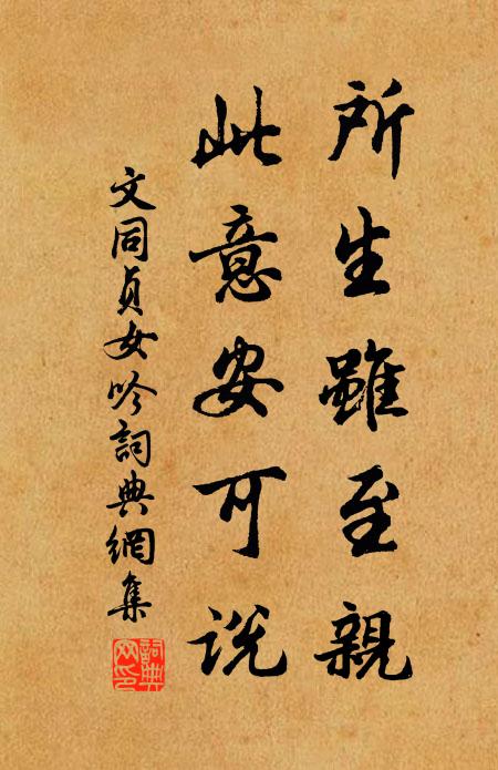文同所生虽至亲，此意安可说书法作品欣赏