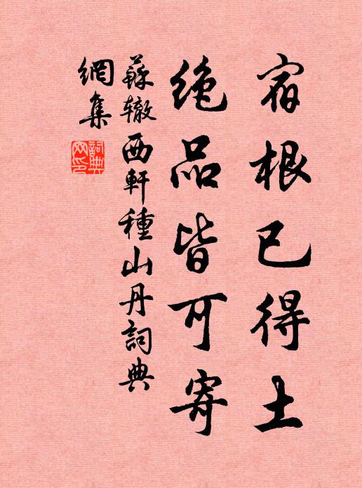 苏辙宿根已得土，绝品皆可寄书法作品欣赏
