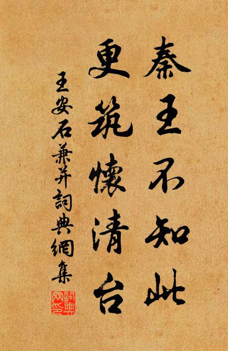 王安石秦王不知此，更筑怀清台书法作品欣赏