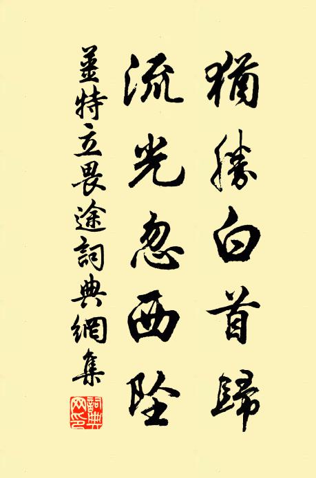 姜特立犹胜白首归，流光忽西坠书法作品欣赏