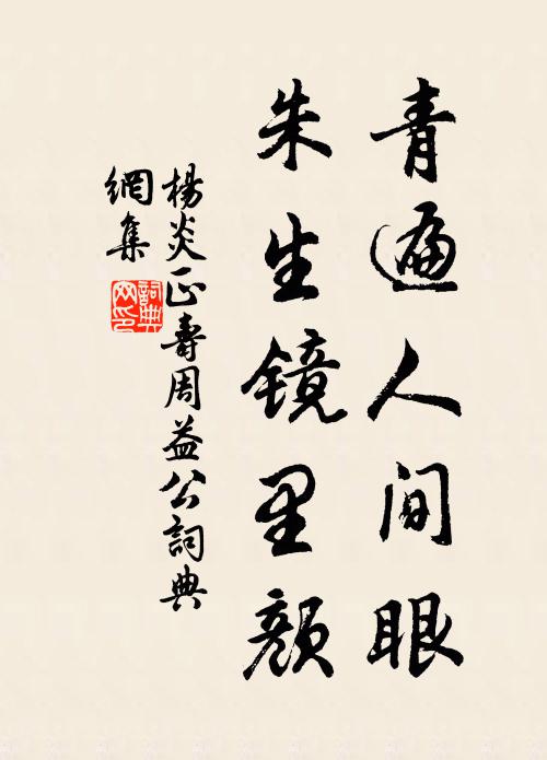 杨炎正青遍人间眼，朱生镜里颜书法作品欣赏