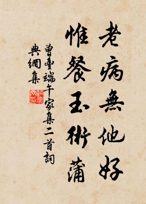 曾丰老病无他好，惟餐玉术蒲书法作品欣赏