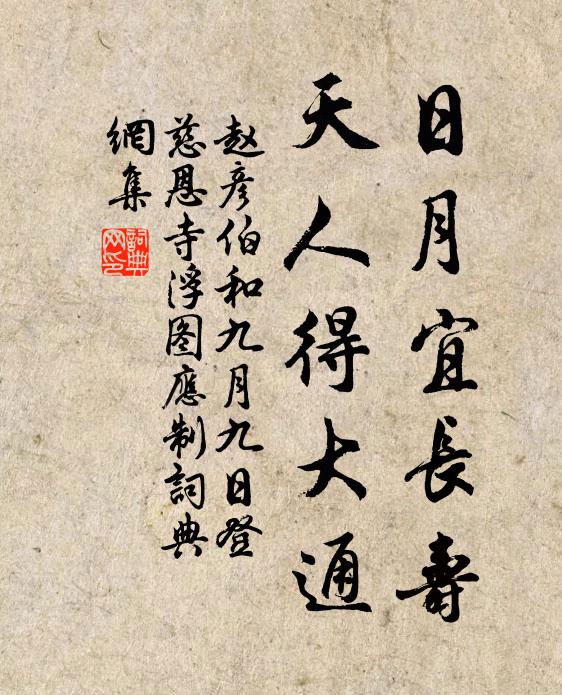 赵彦伯日月宜长寿，天人得大通书法作品欣赏