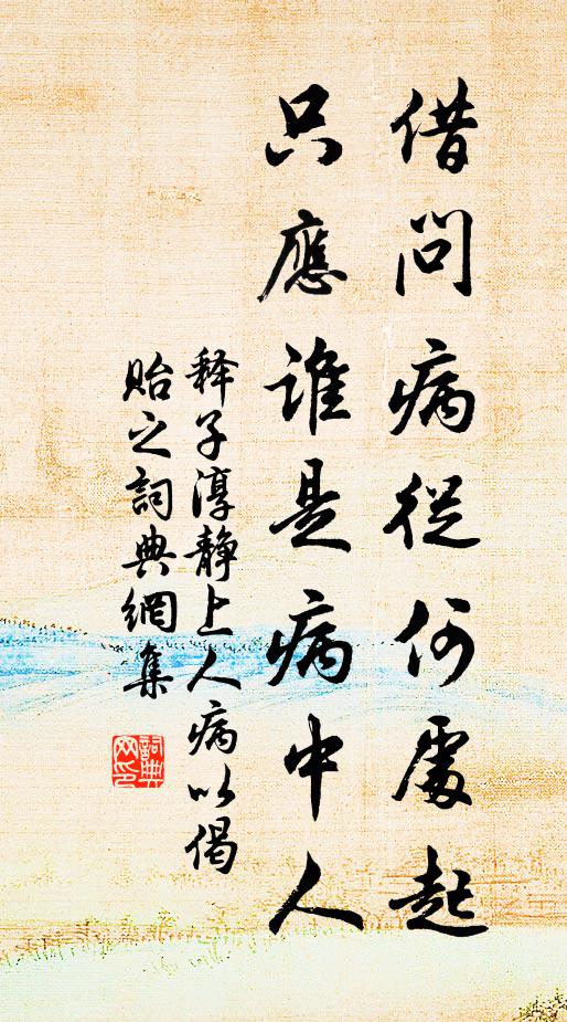 释子淳借问病从何处起，只应谁是病中人书法作品欣赏